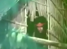 Alakdang gubat (1976)