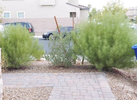 DING DONG! Mandy Muse fucks a stranger for the brush LonelyFans page!