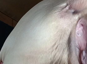 Fat T Puts a Hurting and Shes a Squrting